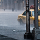 Image for article titled What Causes the Smell After It Rains?